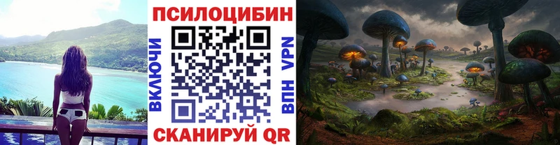 Галлюциногенные грибы MAGIC MUSHROOMS  купить наркотики сайты  Котельниково 
